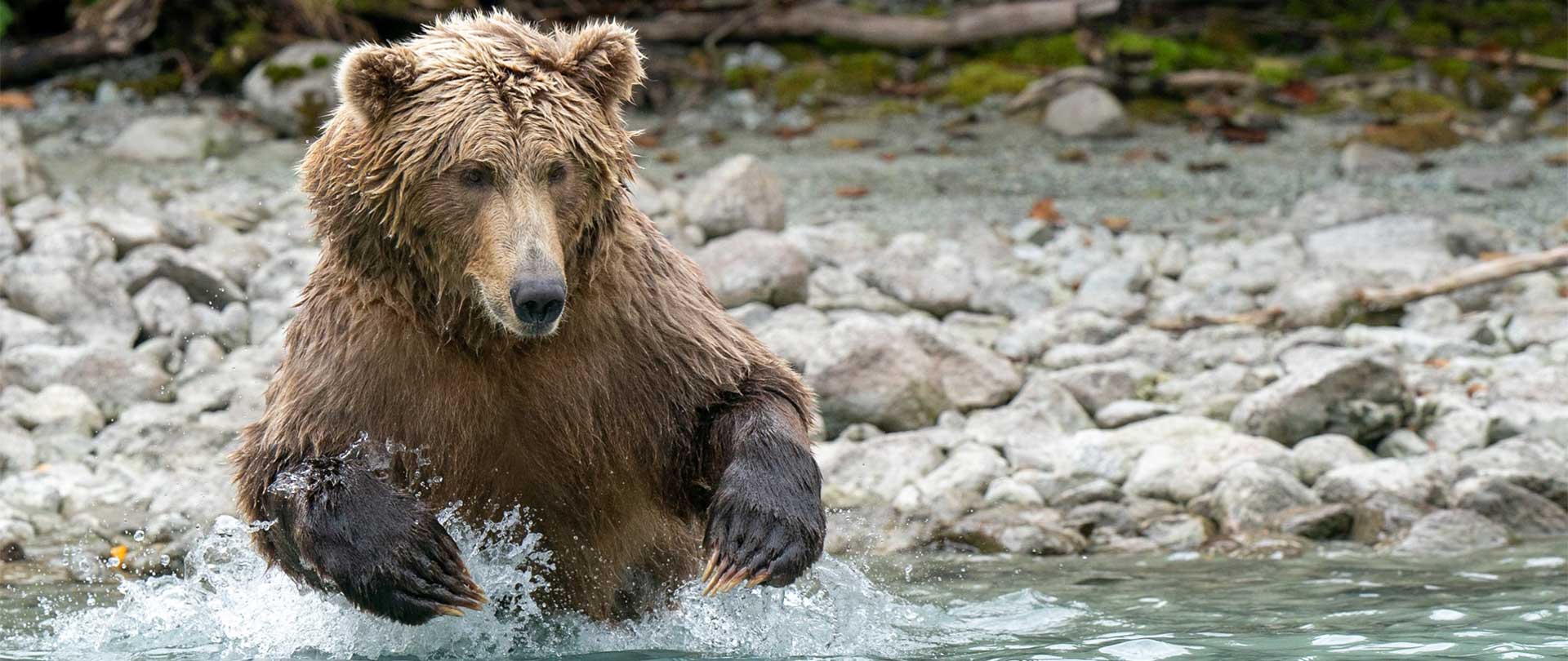 Katmai-Lake-Clark-header