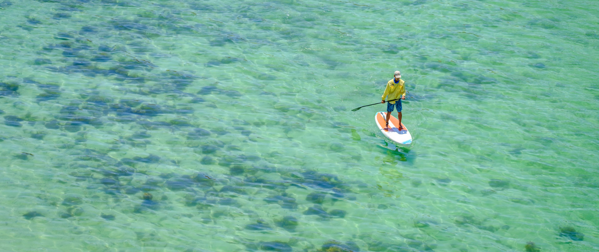 Baja-Whale-Tours-banner